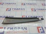 Накладка двери задней левой BMW X5 (E53) 51347041433. Вертикальная, передняя.