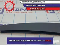Накладка двери задней правой BMW X5 (E53) 51347041434. Вертикальная, передняя.