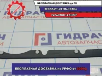 Уплотнитель двери задней левой BMW X5 (E53) 51347002971.