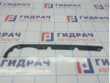 Уплотнитель двери задней левой BMW X5 (E53) 51347002971.