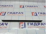Уплотнитель стекла двери заднего левого BMW X5 (E53) 51348402631. Внутренний.