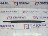 Накладка двери задней левой BMW X5 (E53) 51348257685. Верхняя.