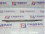 Накладка двери задней левой BMW X5 (E53) 51348257685. Верхняя.