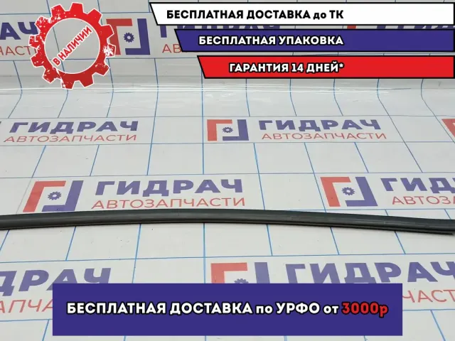 Накладка стекла переднего правого BMW X5 (E53) 51328251592. Наружняя. Дефект.