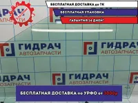 Стекло двери передней левой BMW X5 (E53) 51328402513.