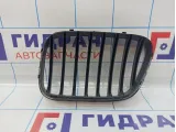 Решетка радиатора правая BMW X5 (E53) 51138247674. Сломаны крепления.