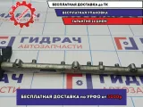 Рейка топливная BMW X5 (E53) 13537805722.