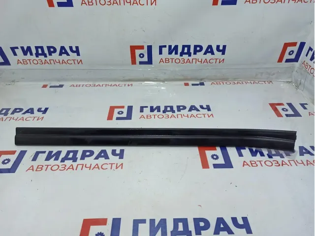 Накладка порога переднего левого внутренняя BMW X5 (E53) 51478254289.