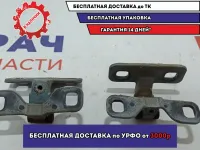 Петли двери багажника верхние BMW X5 (E53) . Комплект.