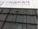 Обшивка двери багажника BMW X5 (E53) 51498243504. Нижняя.
