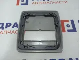 Плафон салонный BMW X5 (E53) 51448258037. Корпус.