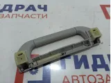 Ручка внутренняя потолочная BMW X5 (E53) 51168248978.