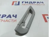 Ручка внутренняя потолочная BMW X5 (E53) 51168248978.