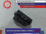 Кнопка открывания багажника BMW X5 (E53) 61318365579.