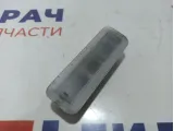 Плафон салонный задний BMW X5 (E53) 63318352286.