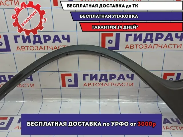 Накладка переднего крыла левого BMW X5 (E53) 51718402333.