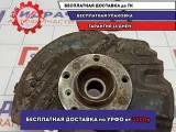 Кулак поворотный передний правый BMW X5 (E53) 31216761576.