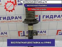 Амортизатор передний левый BMW X5 (E53) 31316764599. Delphi.