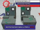 Петли двери передней левой BMW X5 (E53) .