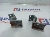 Петли двери передней правой BMW X5 (E53) .