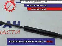 Амортизатор капота BMW X5 (E53) 51238402551.