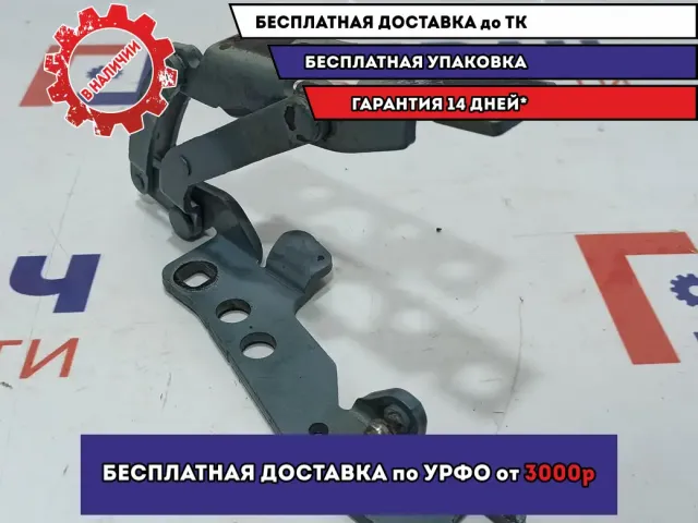 Петля капота правая BMW X5 (E53) 41617006124.