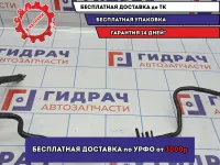 Трубка вакуумная BMW X5 (E53) 11667787041.