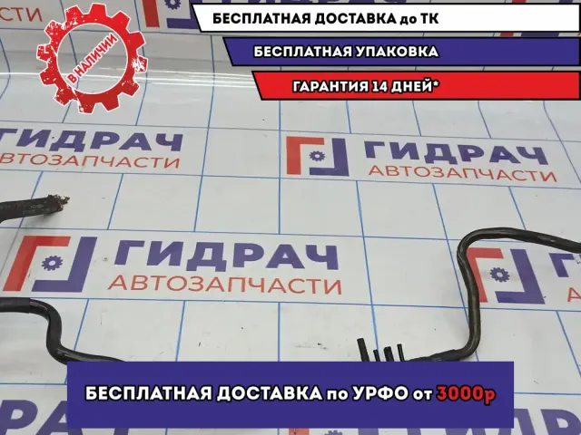 Трубка вакуумная BMW X5 (E53) 11667787041.