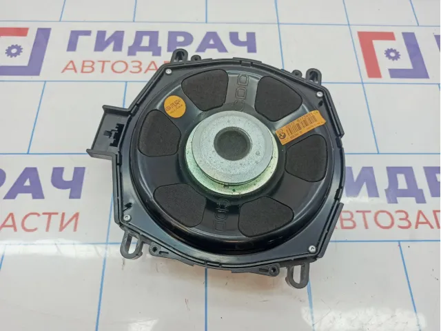 Динамик BMW X6 (E71) 65139112491.
