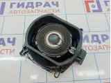 Динамик BMW X6 (E71) 65139112491.