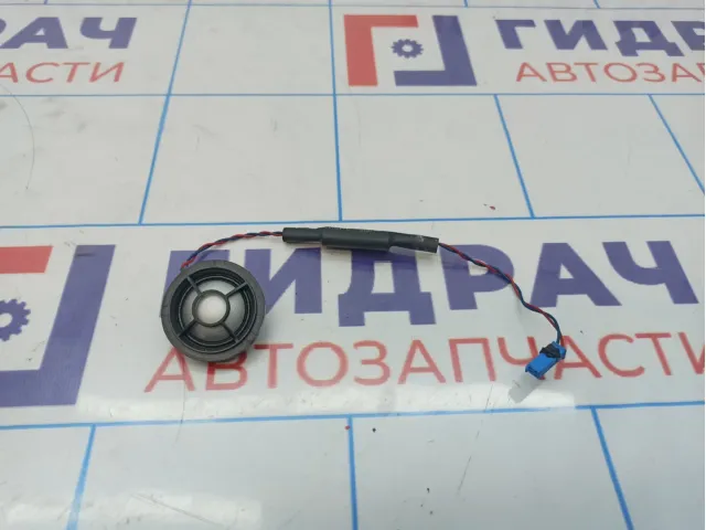 Динамик BMW X6 (E71) 65136949737. В накладку двери.