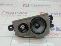 Динамик правый BMW X6 (E71) 65139211049. В стойку.