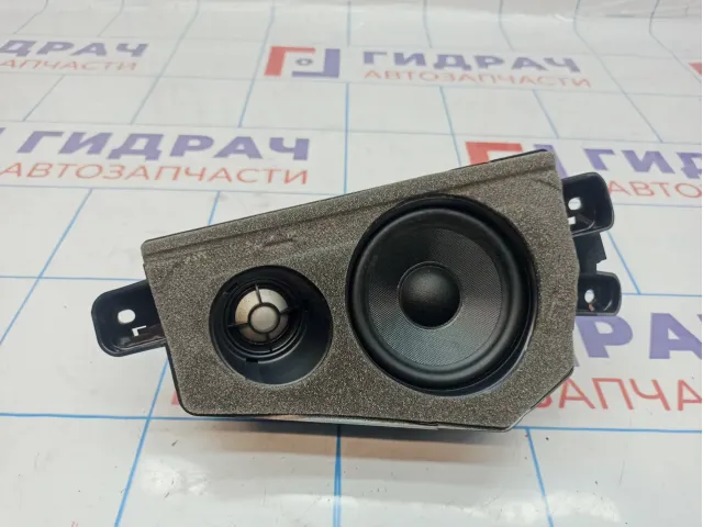 Динамик правый BMW X6 (E71) 65139211049. В стойку.