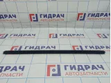 Уплотнитель стекла двери передней левой BMW X6 (E71) 51337179427. Внутренний.