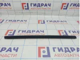 Уплотнитель стекла двери задней правой BMW X6 (E71) 51357179404. Внутренний.