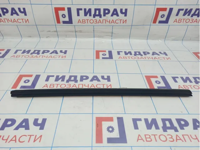 Уплотнитель стекла двери задней правой BMW X6 (E71) 51357179404. Внутренний.