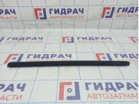 Уплотнитель стекла двери задней левой BMW X6 (E71) 51357179403. Внутренний.
