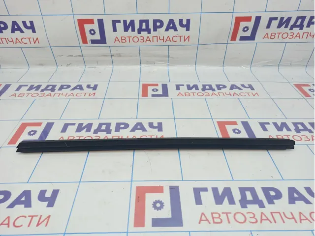 Уплотнитель стекла двери задней левой BMW X6 (E71) 51357179403. Внутренний.