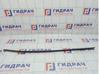 Накладка стекла переднего левого BMW X6 (E71) 51337189093. Наружний.