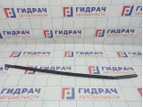 Накладка стекла переднего левого BMW X6 (E71) 51337189093. Наружний.