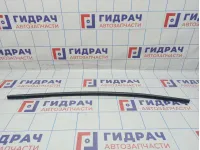 Накладка стекла заднего левого BMW X6 (E71) 51357189095. Наружний.