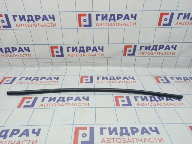 Накладка стекла заднего левого BMW X6 (E71) 51357189095. Наружний.