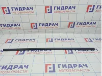 Накладка стекла заднего правого BMW X6 (E71) 51357189096. Наружний.