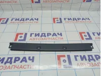 Водосток центральный BMW X6 (E71) 51477202641. Двери багажника.