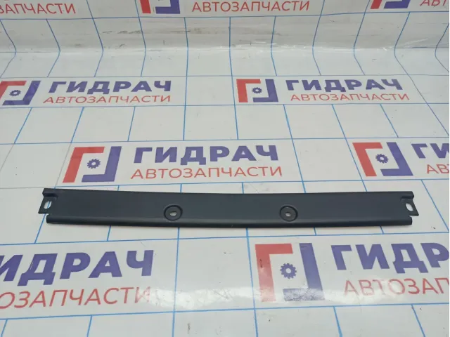 Водосток центральный BMW X6 (E71) 51477202641. Двери багажника.