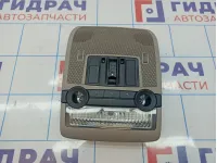 Плафон салонный передний BMW X6 (E71) 61319225949. Под люк.