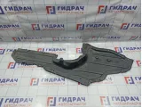 Защита антигравийная BMW X6 (E71) 51757171390.