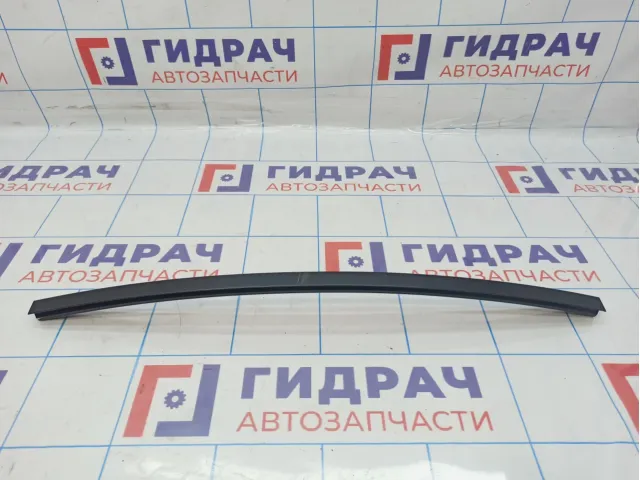 Направляющая стекла двери задняя правая BMW X6 (E71) 51357179418. Дефект.