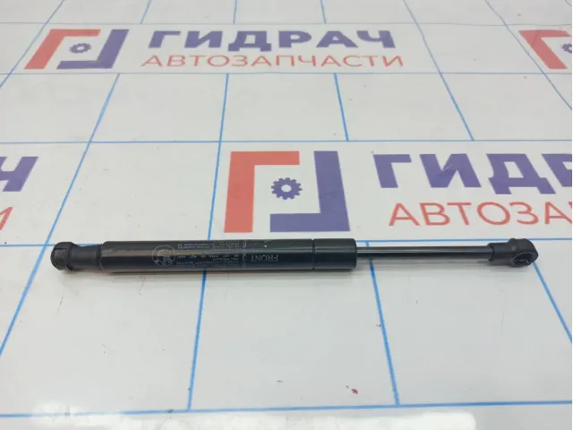 Амортизатор запаски BMW X6 (E71) 51479149120.