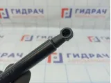 Амортизатор запаски BMW X6 (E71) 51479149120.